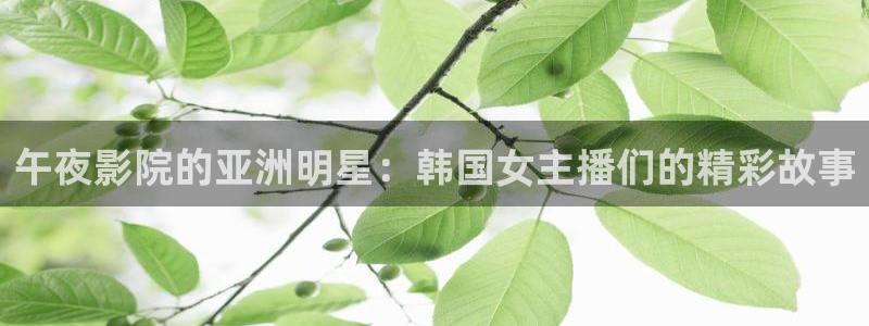 星空视频在线播放