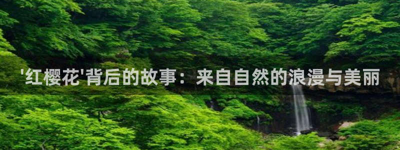 关于星空的画