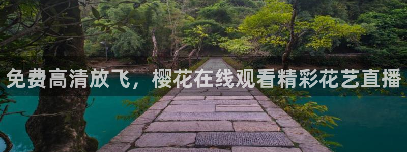 星辰影视大全免费版在线看星空