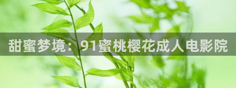 星空电影免费播放观看