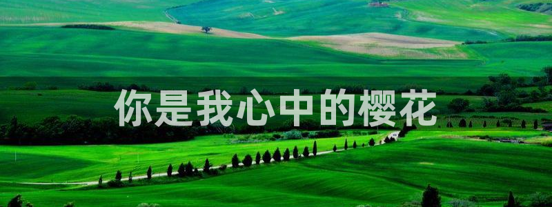 星空电影连续剧免费