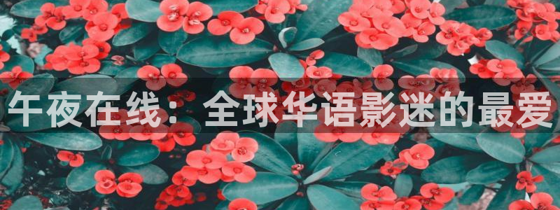 蜜桃视频免费观看电视剧电影大全最