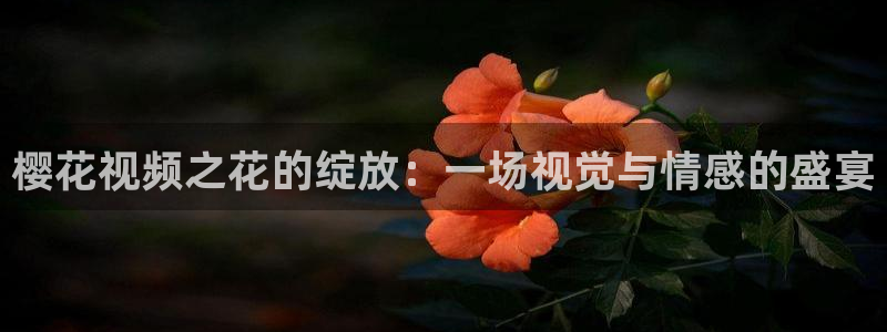 星空免费播放