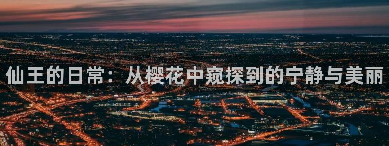 蜜桃视频在线播放免费观看视频