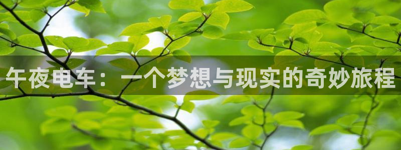 星空影视频道节目表在线