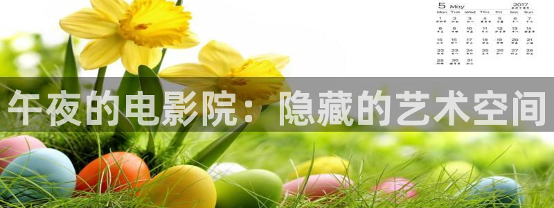 星空mv高清免费播放在线观看
