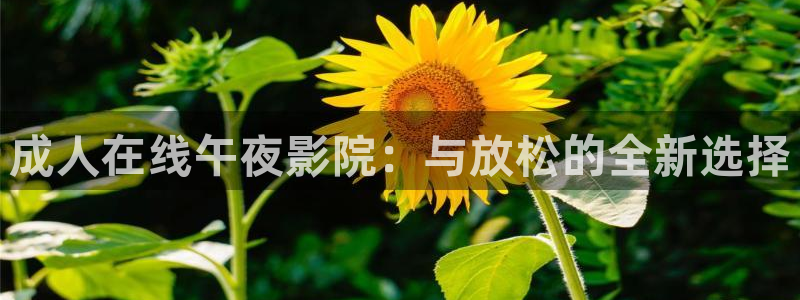 蜜桃视频在线观看全集免费高清