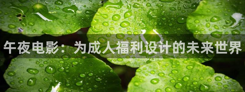 星空电影连续剧免费