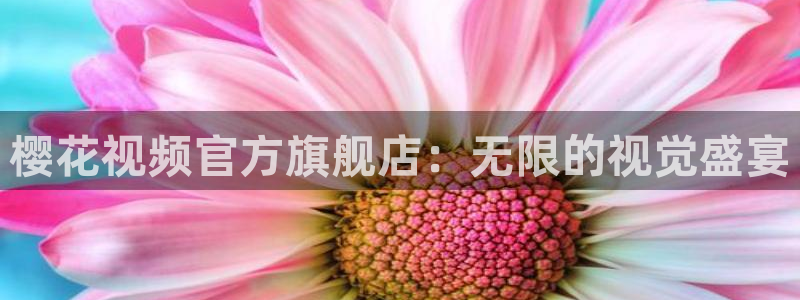 在线免费观看星空影视