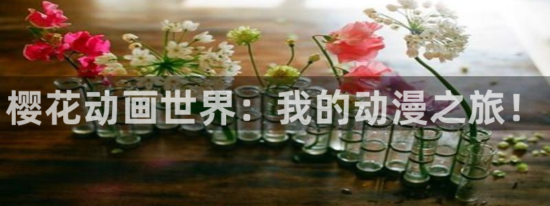 关于星空