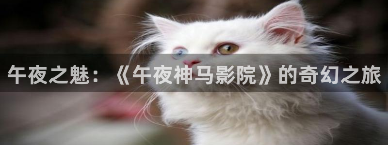 星空影视app官方免费下载