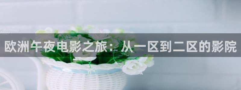 蜜桃视频电